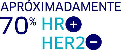 Aproximadamente el 70% tienen HR+, HER2–